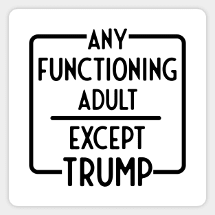 Any Functioning Adult 2024 Election Magnet